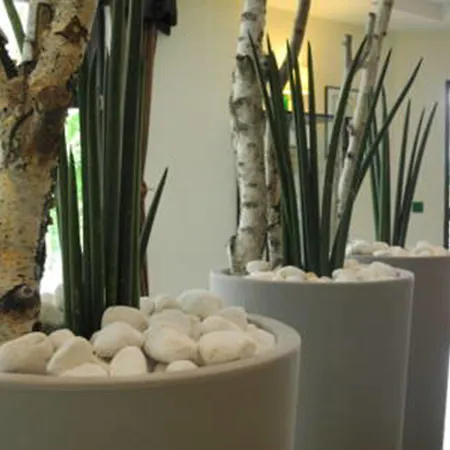 Waldhotel Hotel 4*